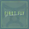 The Mexican Guy - First Fly